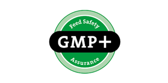GMP-Logo